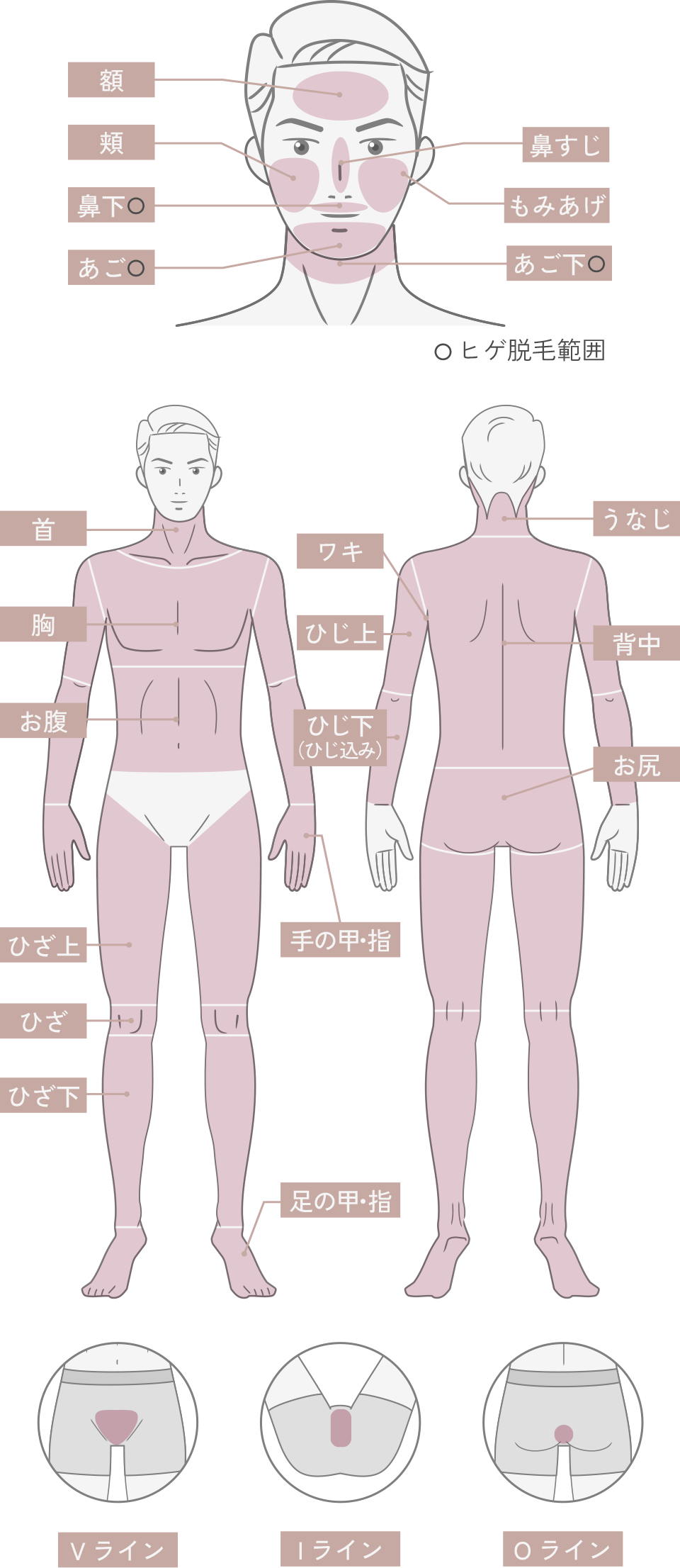 男性医療脱毛 施術対応部位